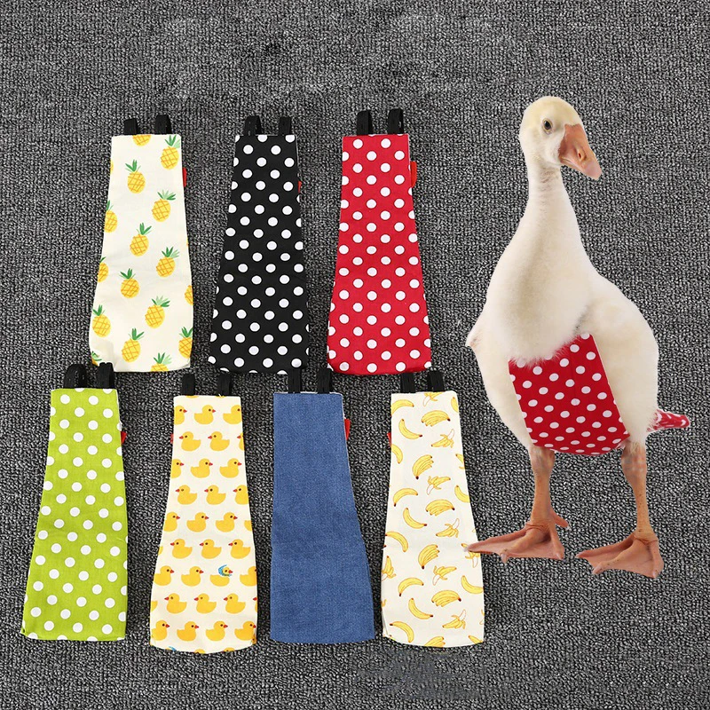 Ropa para mascotas y patos, pañales para patos Cole, pañales para pollos, pañales para patos de ganso, accesorios para pañales, orina de pato no húmeda, Pato Kodak