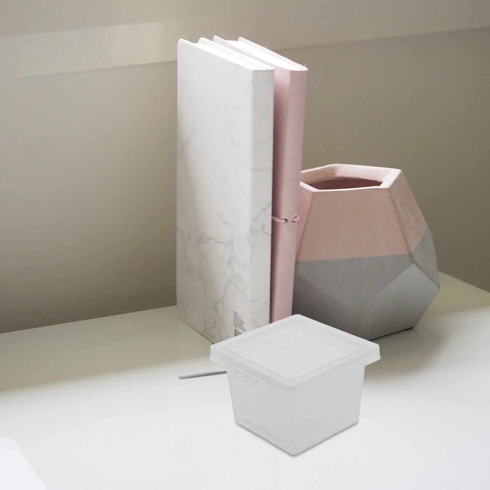 100Pcs Insect Feeding Box Premium Transparent Reptile Breeding Container for Tarantulas Crickets Snails Mantis Lizard Spider