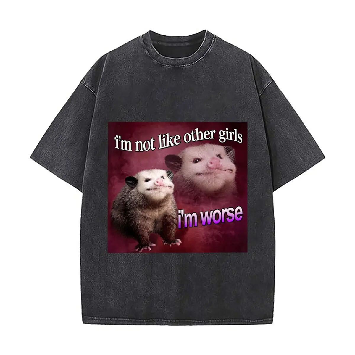 Im Not Like Other Girls Im Worse Opossum Duo Funny Washed Distressed Loose Streetwear Tops for City Walks