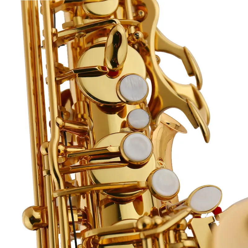 Professional performance by saxophone DSPS-160 B flat tenor saxophone wind band