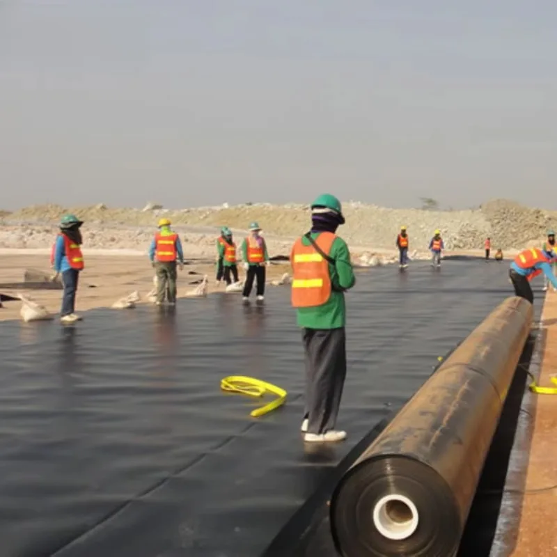 Customized HDPE Waterproof Geomembrane Roll for Reservoir Fish Pond Landfill Mining and Biogas Applications Worldwide