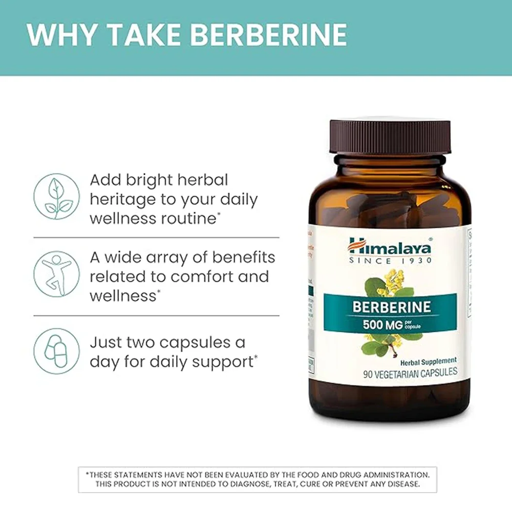 Berberine Supplement Capsules - For Metabolism & Cholesterol, GI Health & Immunity, Antioxidant, 500 mg, Vegan, Gluten Free