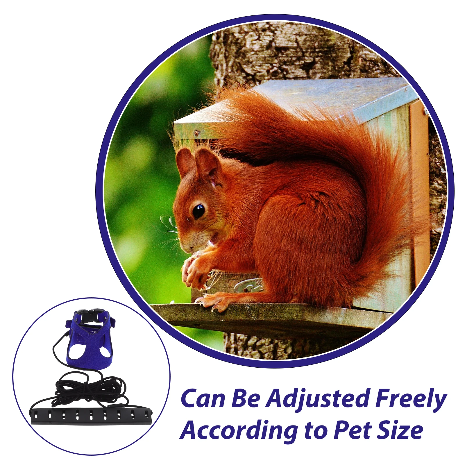 

1Set Small Pet Harness and Anti-Bite Traction Rope Set Comfortable Rabbit Leash Convenient Small Animal Walking Leash Set