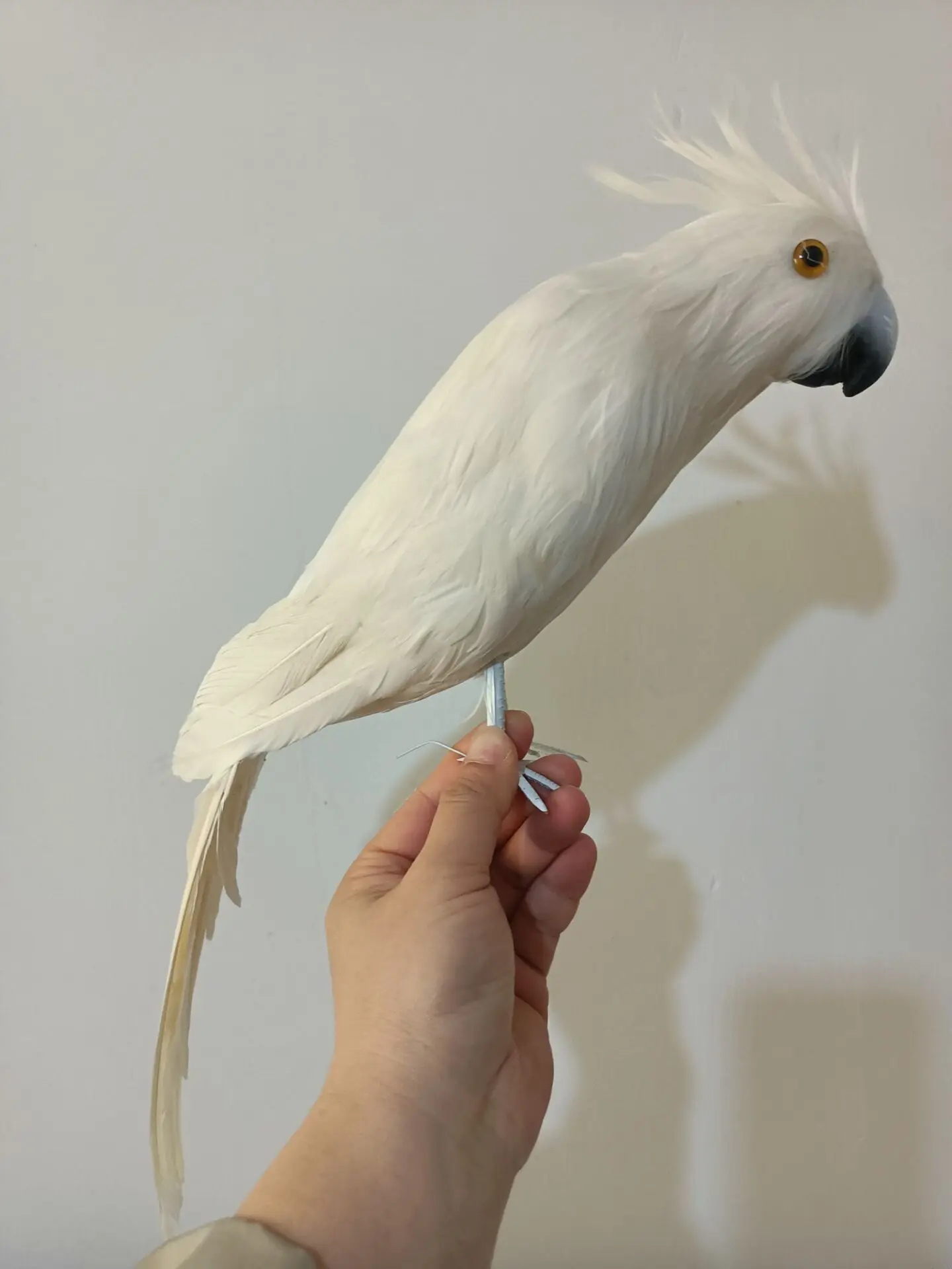 big simulation foam and feathers white parrot model toy gift about 42cm h2703