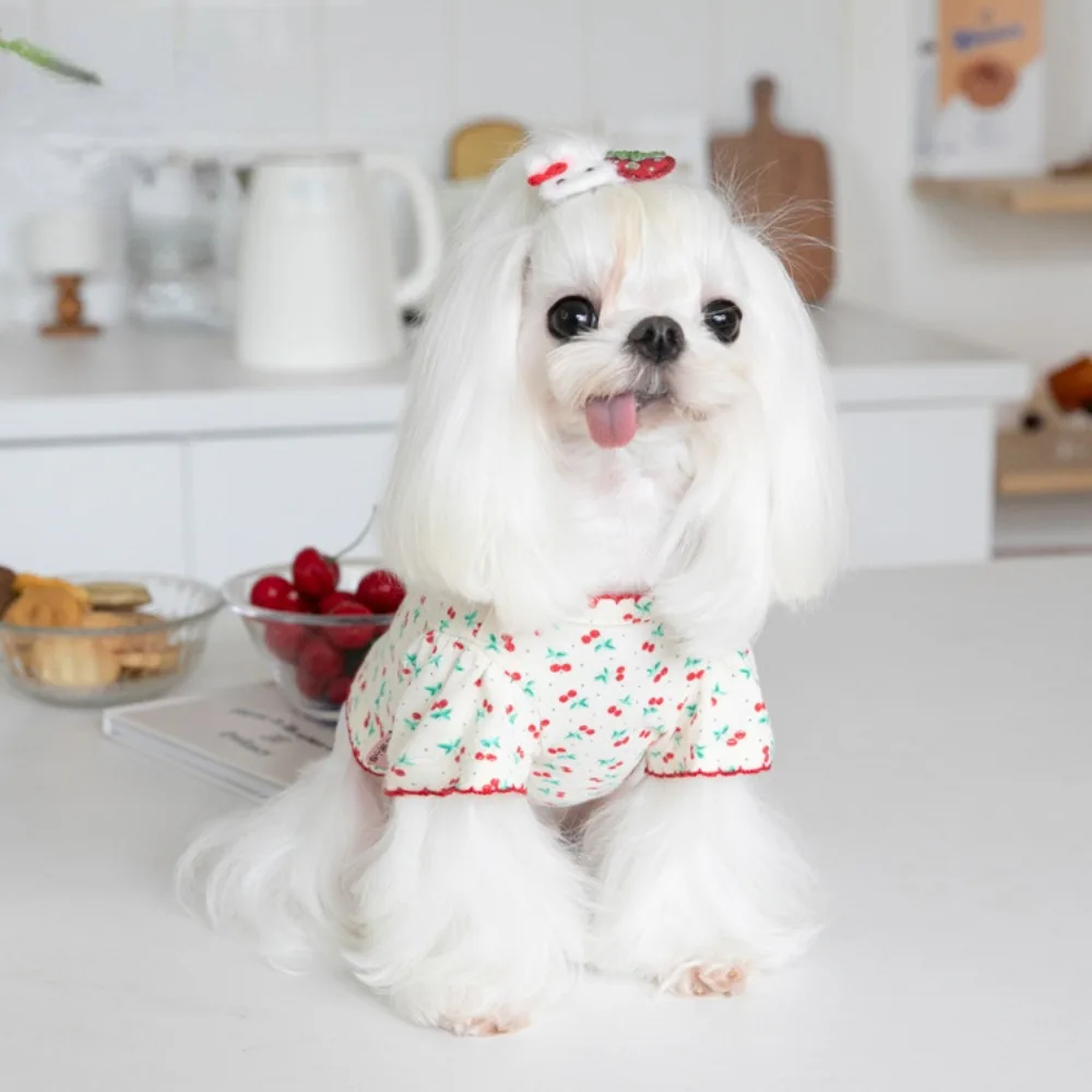 Pet Autumn Winter Cherry Basecoat Dog Home Cute Cherry Pet Clothing Dog T-shirt Pet Clothing Teddy Clothing Designer Dog Clothes