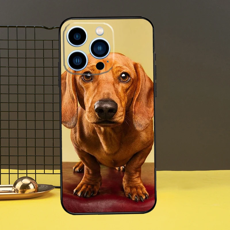 Dachshund Dog Case For Apple iPhone 11 14 12 Pro Max mini XS XR X 8 7 Plus SE 2020 13 Pro Phone Cover Capa