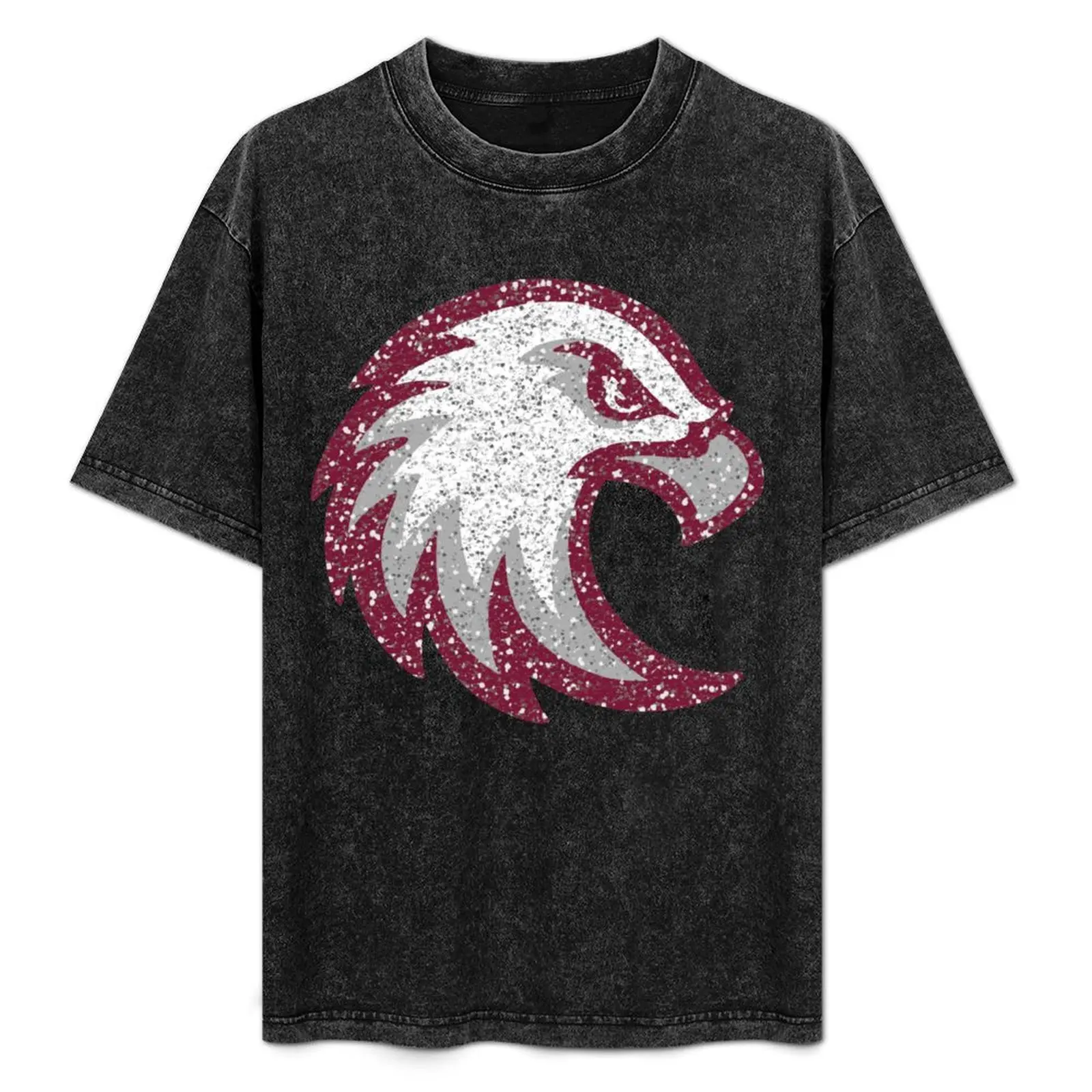 글리터 이글스 ~ 아우크스부르크 대학 티셔츠, 동물 프린트, 블랙 플러스 사이즈 의류, 헤비웨이트 스웨트 셔츠, 남성