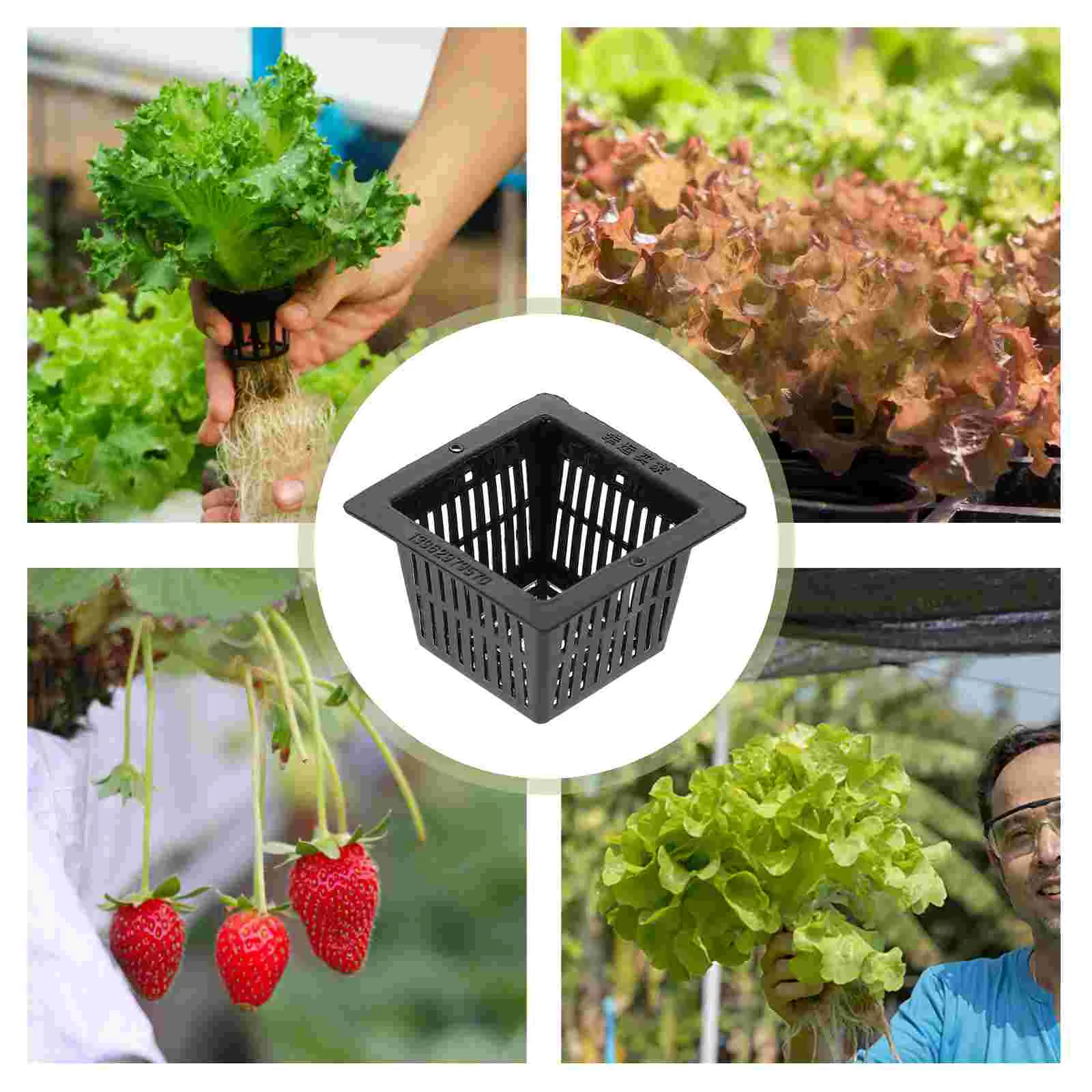 10 Pcs Green Root Tool Soilless Culture Pot Square Nursery Hydroponic Vegetable Net Pots Planting Basket