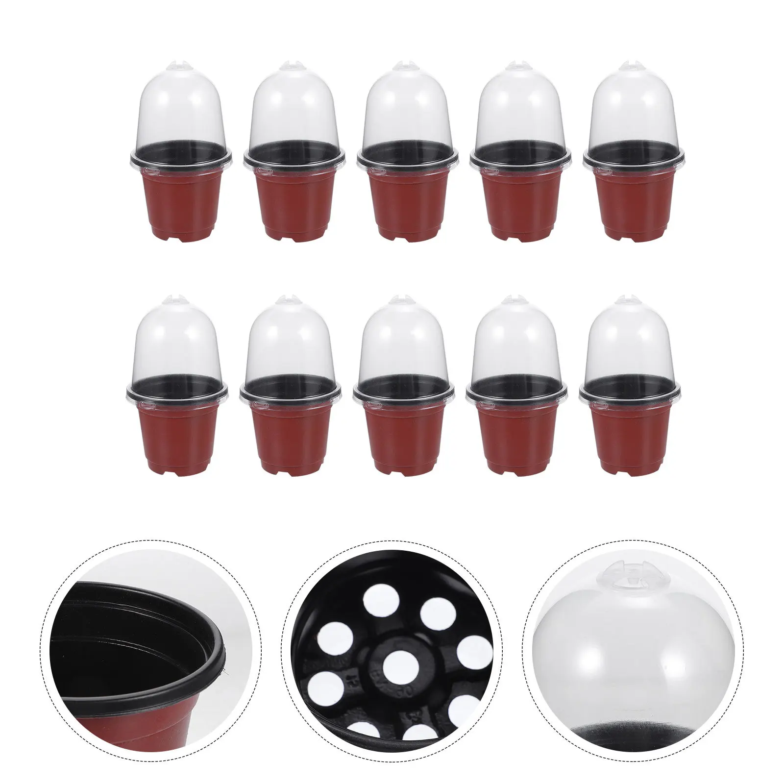 10 مجموعات أواني الحضانة مع قبة الرطوبة حاويات زراعة بلاستيكية البذور بدء الكؤوس حديقة زراعة الزهور وعاء عصاري #5