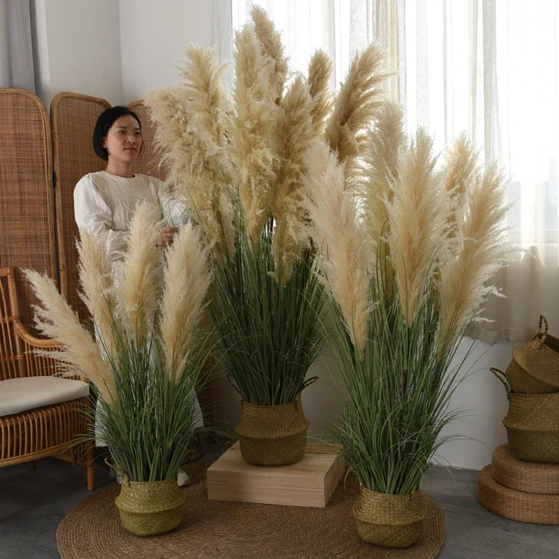 Potted natural pampas reed dried flowers indoor landscaping decorative ornaments