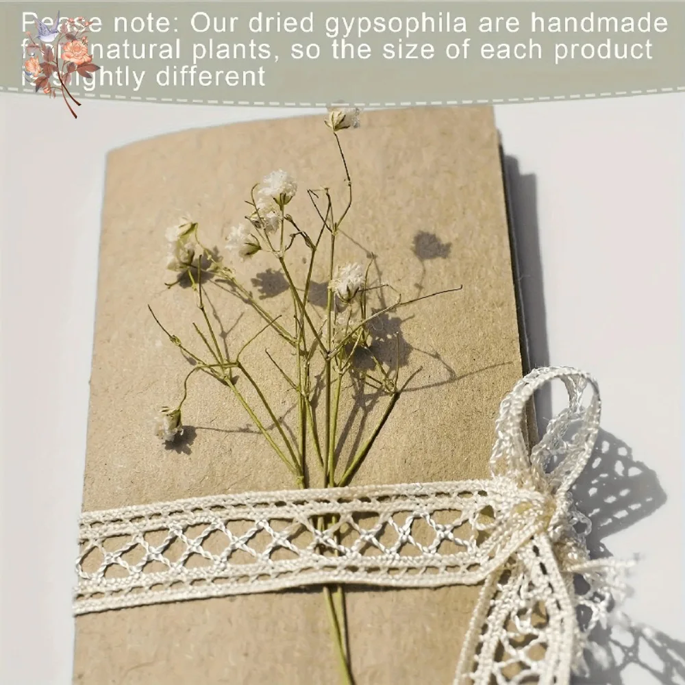 100pcs Mini Baby's Breath ดอกไม้สําหรับเรซิ่นหัตถกรรม DIY ตกแต่งบ้าน real touch Gypsophila ขนาดเล็ก Bundle ประดับของขวัญ