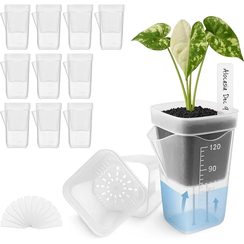 Mini Self-watering Flower Pots | Transparent with Water Level Indicator,Drainage Holes | for Succulents, African Violets, Herbs