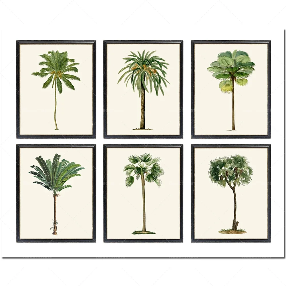 1pc frameless Canvas Painting 2026 Retro Artwork Tropical Palm Trees Plant Canvas Painting Wall Art Poster Print for Living Room