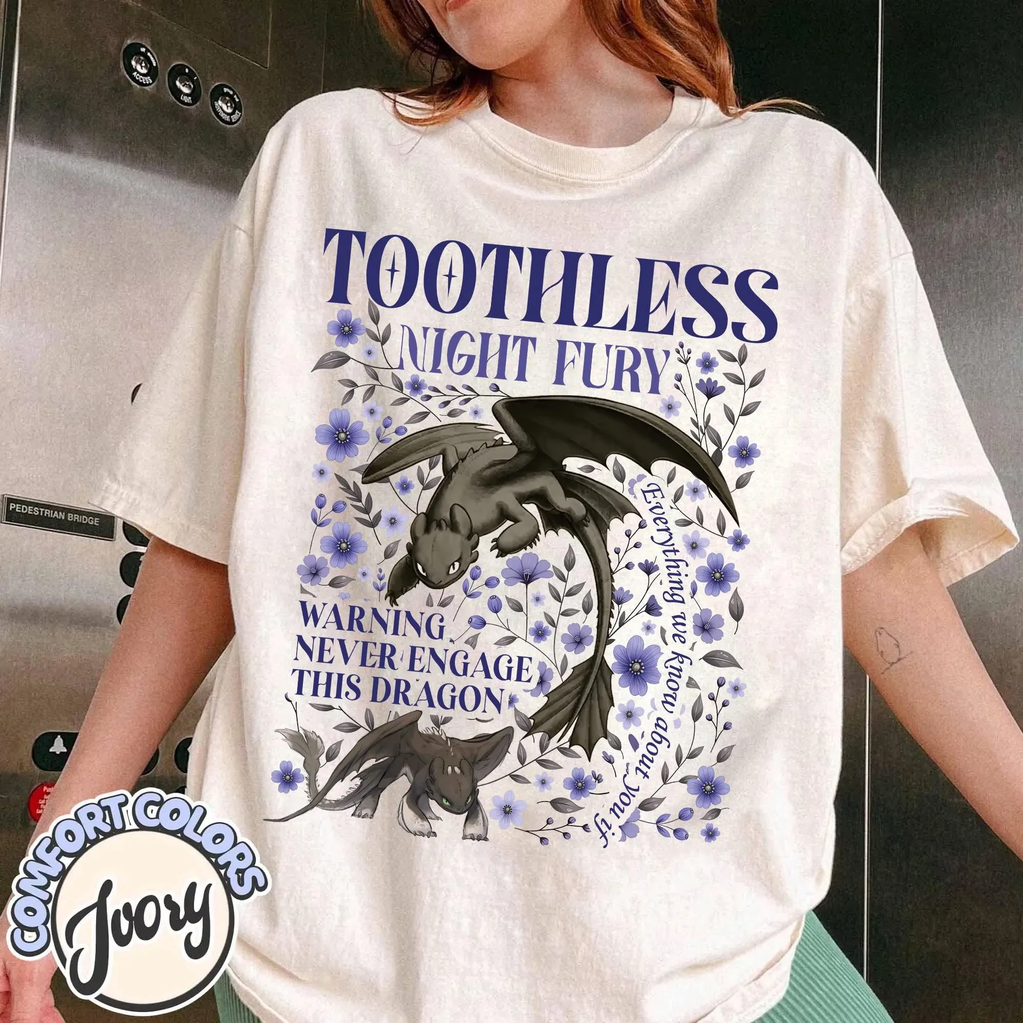 Toothless Disney Ho…