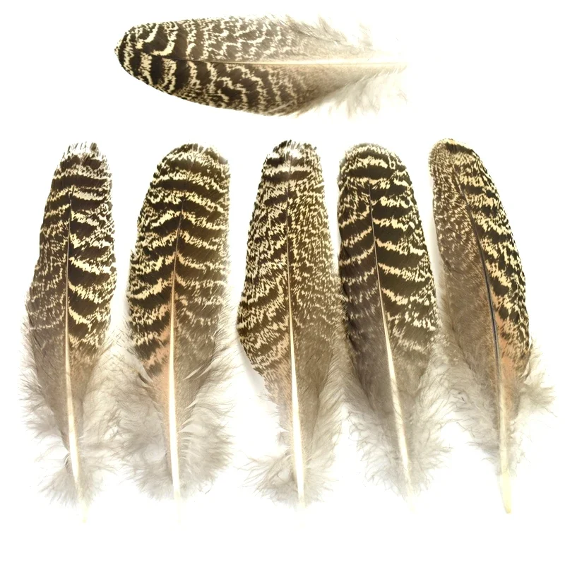 10Pcs Natural Peacock Bird Feathers Decoration Eagle Small Pheasant Feather Crafts Decor Hats Carnival Wedding Jewelry Creation – Detail 5