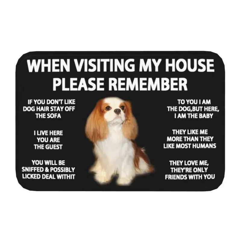 Personalized Cavalier King Charles Spaniel Doormat Mat Anti-Slip Dog Kitchen Bath Toilet Rug Carpet 40*60cm