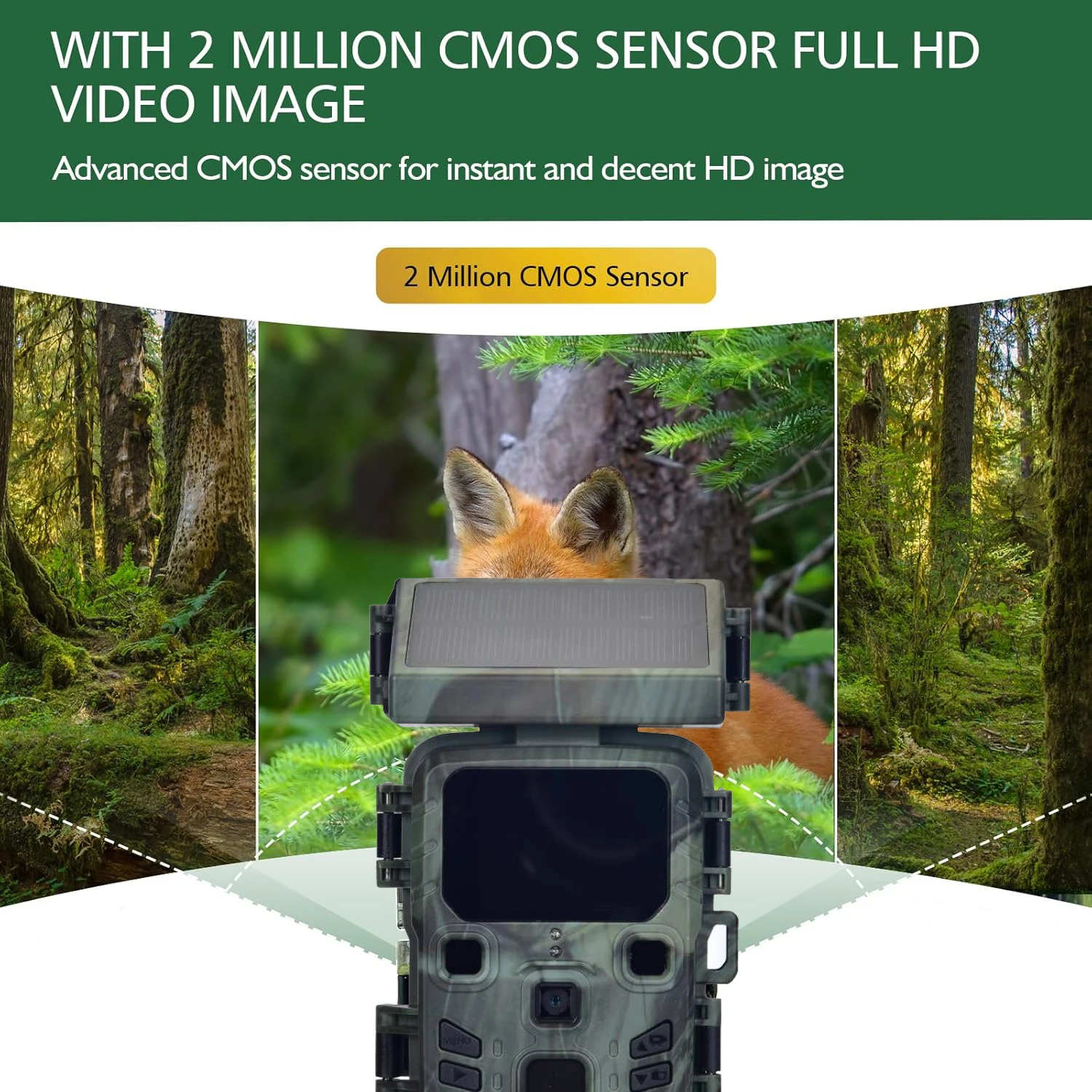 Thumbnail 3 - #8 Trending Wildlife Cameras Right Now