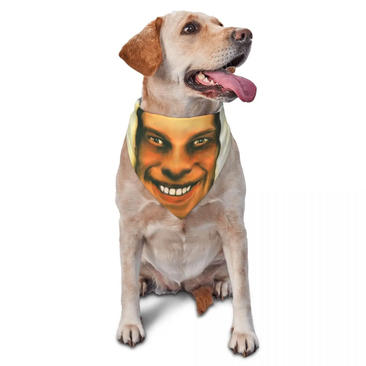 Aphex Twin Pet Scarf British Electronic Music Artist Soft Cats Puppies Bandanas Funny Triangle Bib Pet Accessories