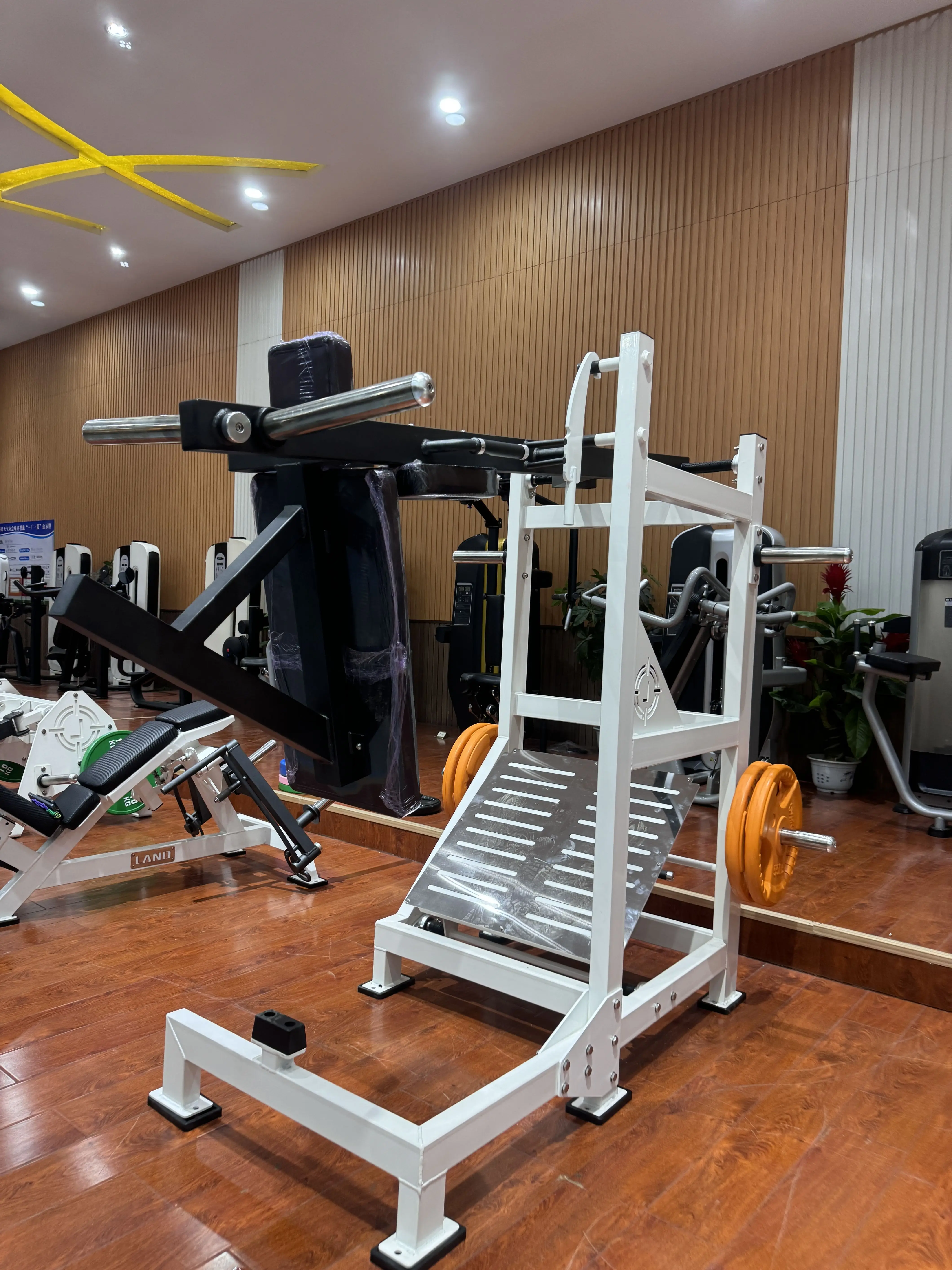 الاستخدام التجاري الأرضي للياقة البدنية معدات الصالة الرياضية اللياقة البدنية تدريب القوة Kettlebell القرفصاء المدرب للبيع