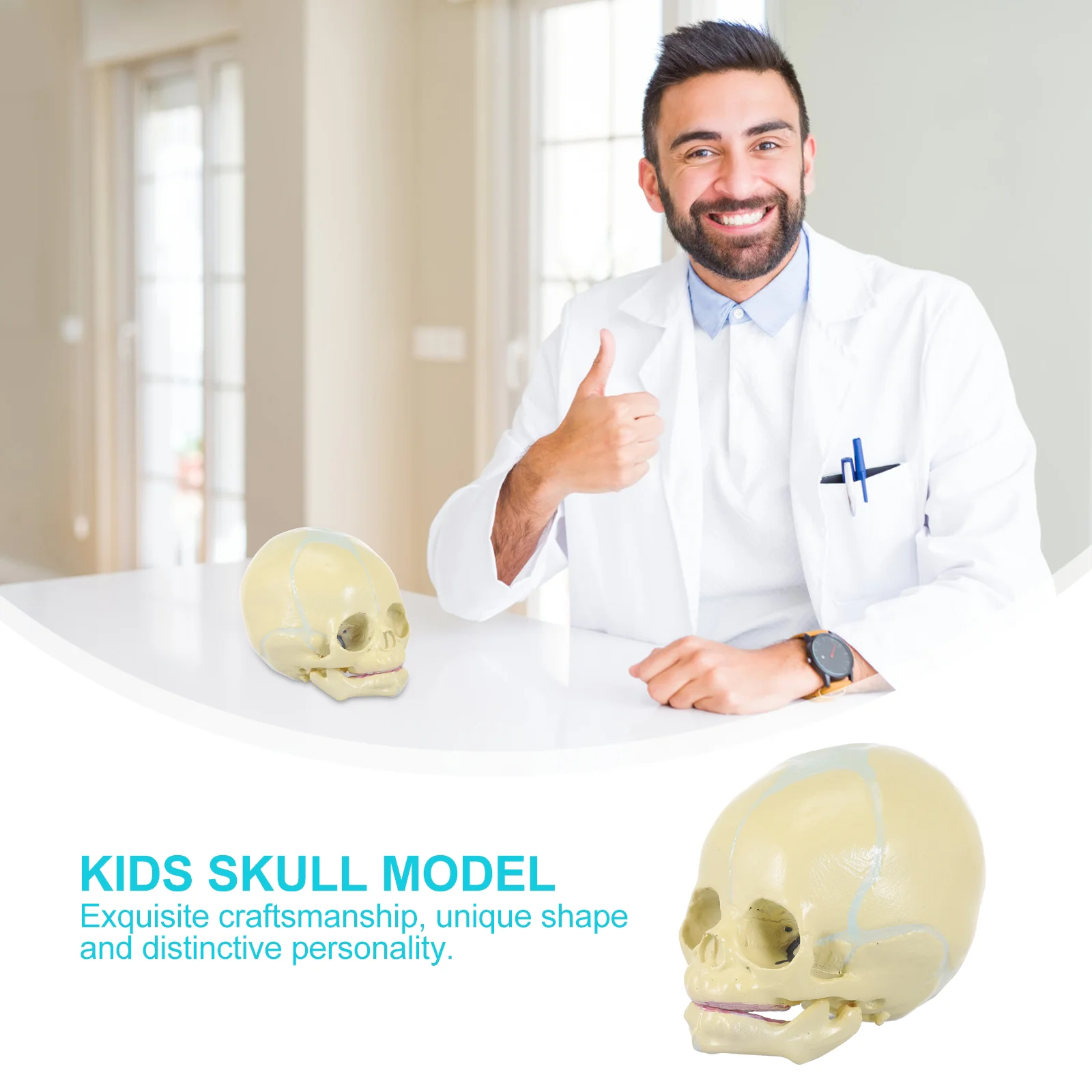 Skull Model Student Medicine Mycology Supplies Manikin Body Human Statue Sculpture Medical Life Sized Fetus Child