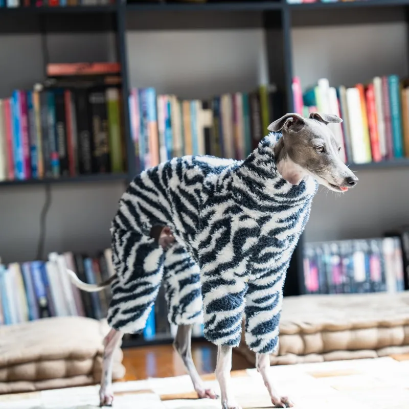 new zebra double-sided velvet puppy clothes warm and soft medium-sized dog clothes suitable for small greyhounds/whippets