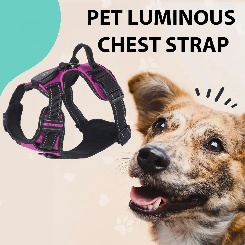 Pet Vest Harness Rechargeable Led Dog Harness for Night Walking Adjustable Glow Vest for Small Medium Dogs Pet Chest Strap Pet