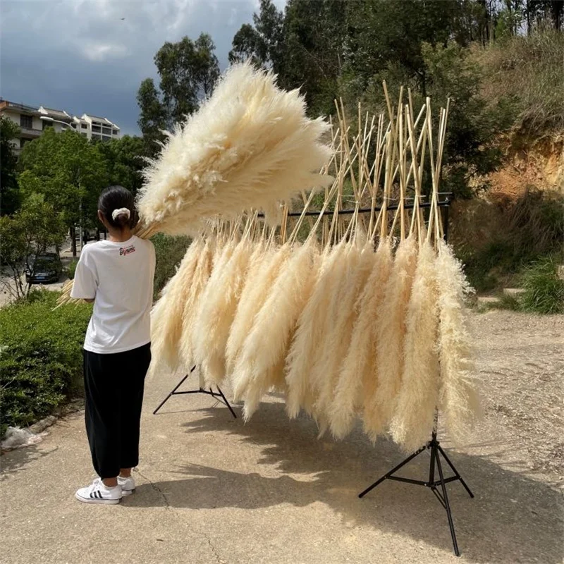 Wholesale 12Pcs Fluffy Large Pampas Grass Home Decor Natural Dried Flower Decorative Wedding Centerpiece Boho Pampas Grass Decor