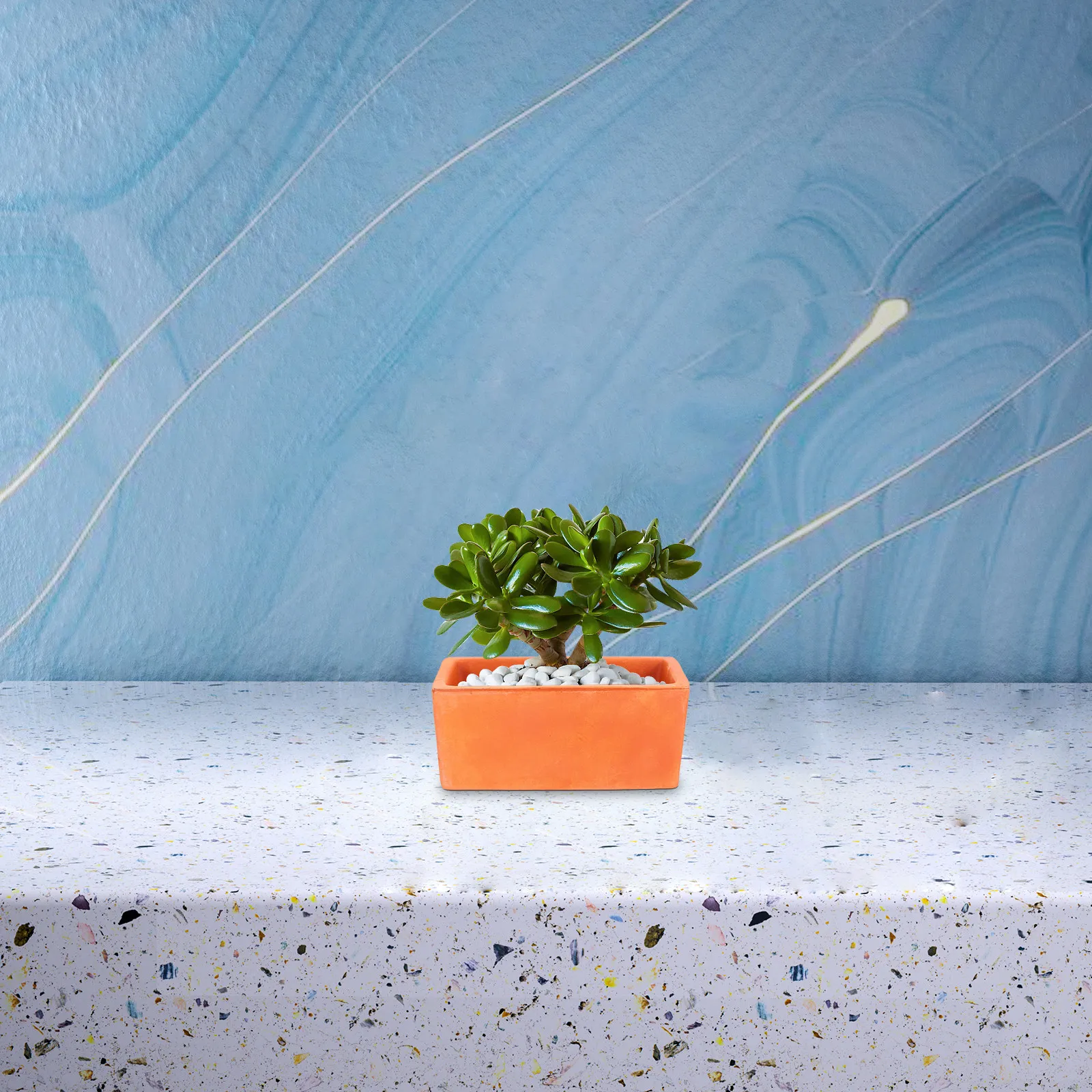 Small Rectangular Terracotta Plant Container Rustic Clay Flower Pot with Drainage Hole for Cactus Succulent Bonsai Indoor