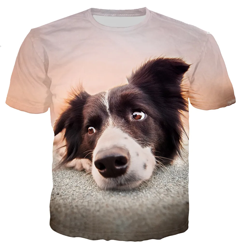 New Fashion Border Collie Male/Female 3d Printed T-shirt Casual Harajuku Style Street Sports Breathable Fitness Fabric