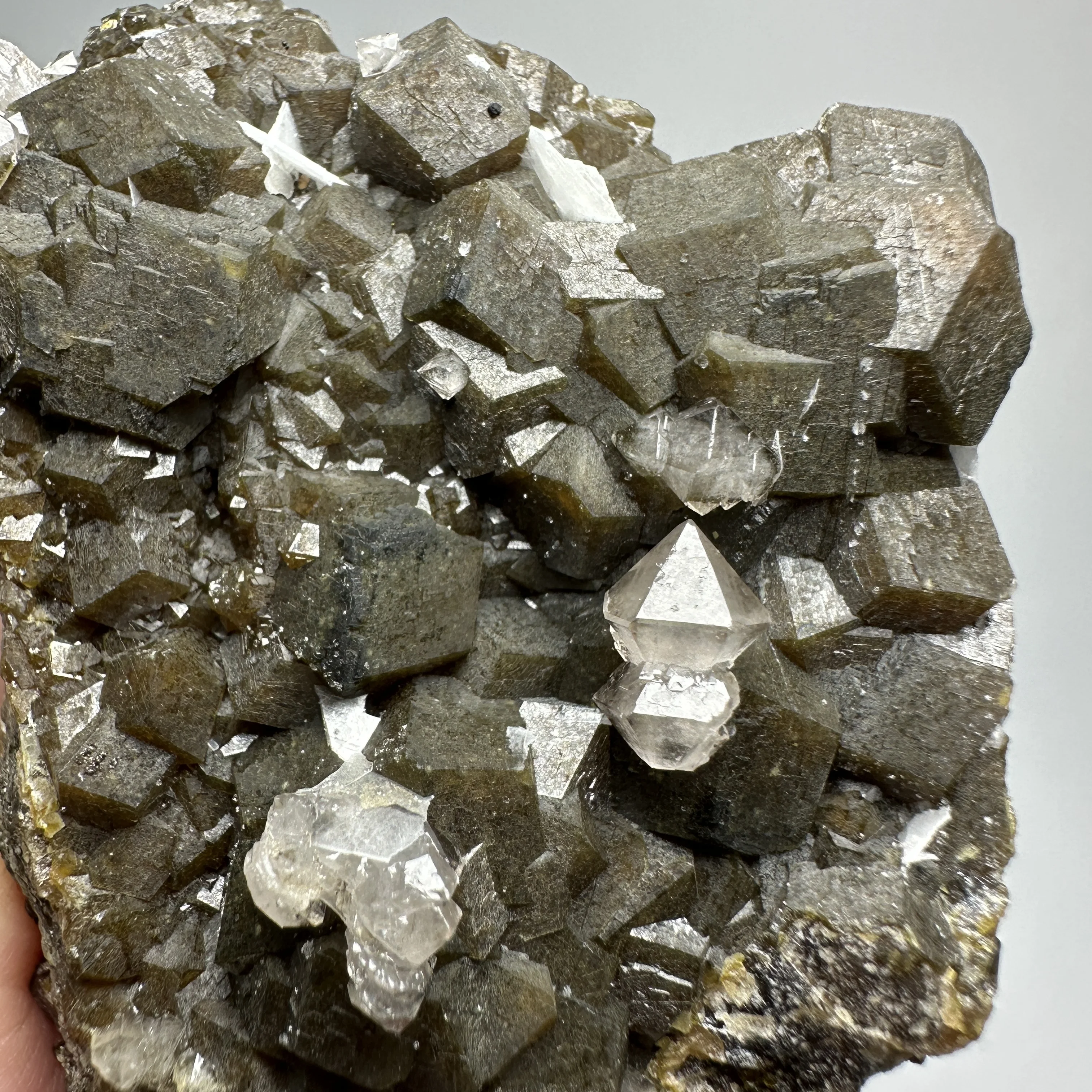 

Natural Inner Mongolia Andradite mineral specimen + healing quartz crystals and stones rock gemstone