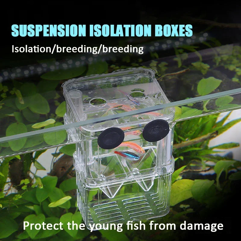 Fish Tank Isolation Breeding Box Suspended Isolation Breeding Breeding Box Pneumatic Double-layer Acrylic Incubation Box