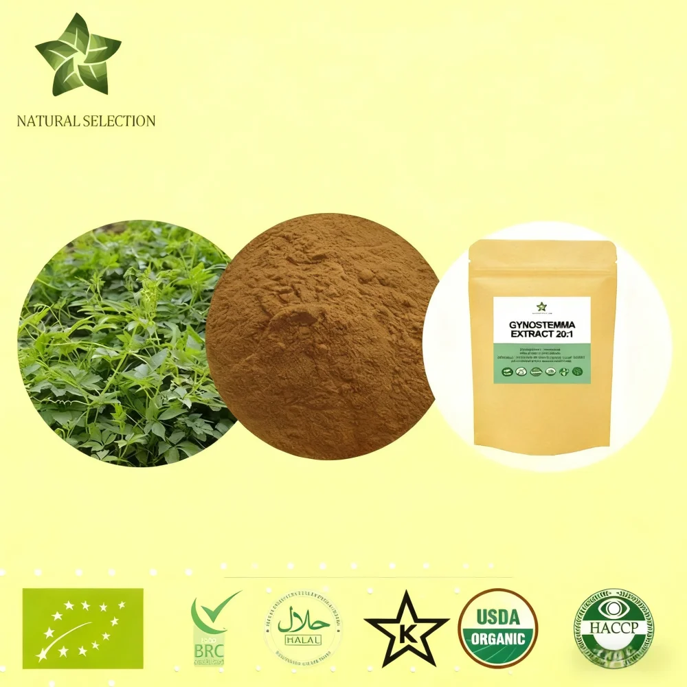 Fábrica profesional al por mayor Global personalizado Gynostemma, extracto de Jiaogulan cuidado corporal Natural polvo brillante envío rápido
