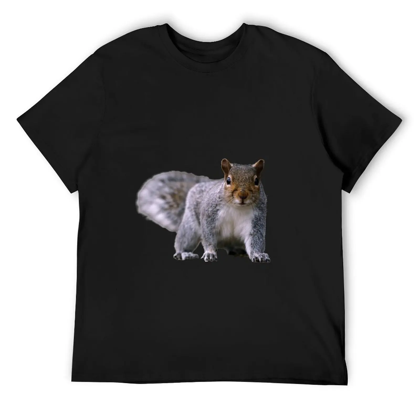 

Grey Squirrel, on the ground, standing, watching. Funny giant squirrel. Photograph T-Shirt baggy shirts Men's t-shirts