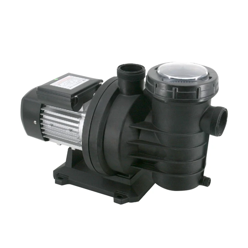 High-Performance Swimming Pool Circulating Pump with Filter Durable Copper Motor DSL-SS-SW37A