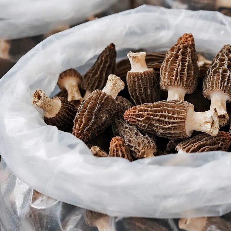 

Special Grade Yunnan Wild Morel Yangdujun Mushroom 5-12cm Dried Morel Mushroom DIY Resin Raw Material Photography Props Free