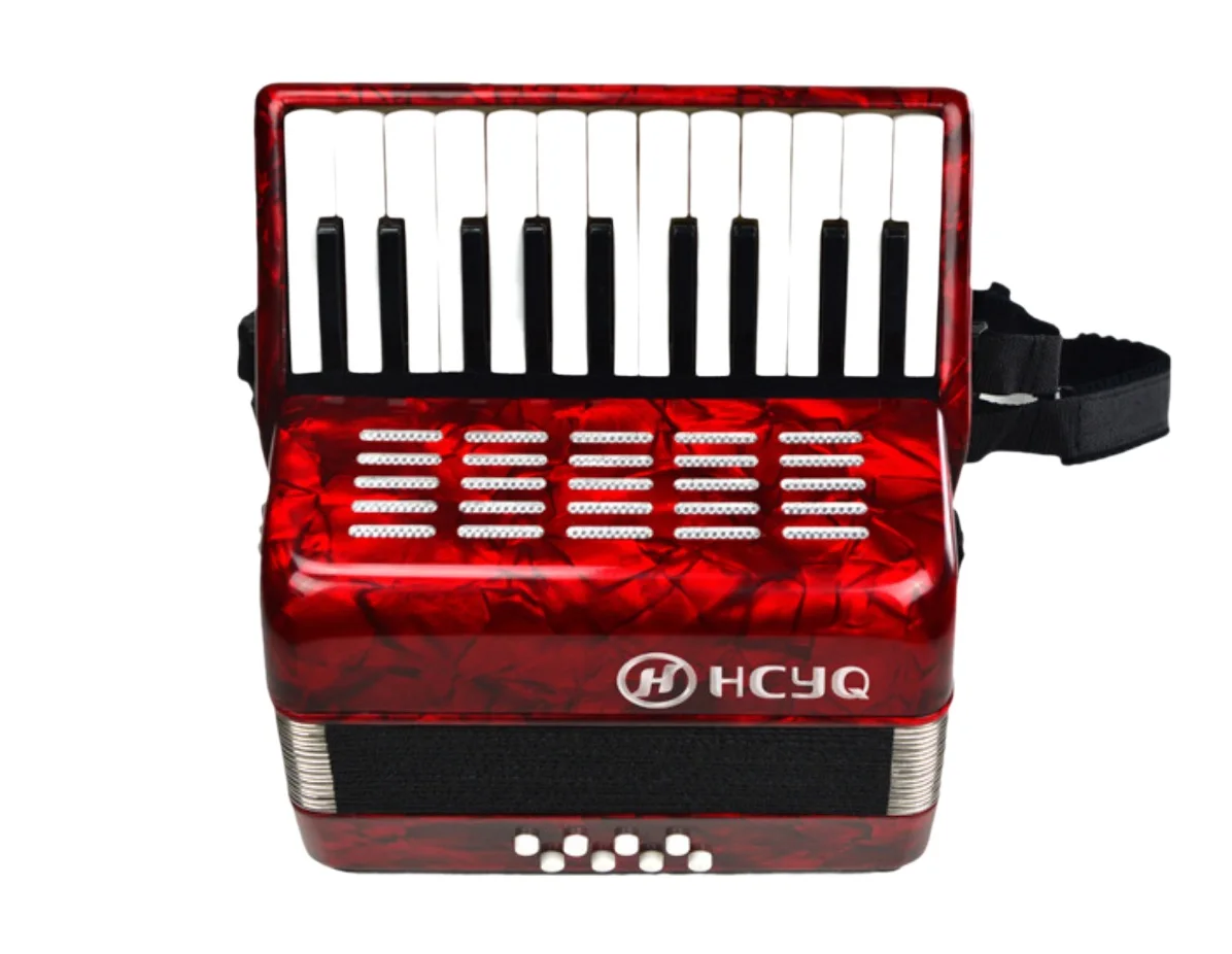 

2 key 8 bass accordion keyboard instrument acordeones musicales profesionales acordeon instrumento