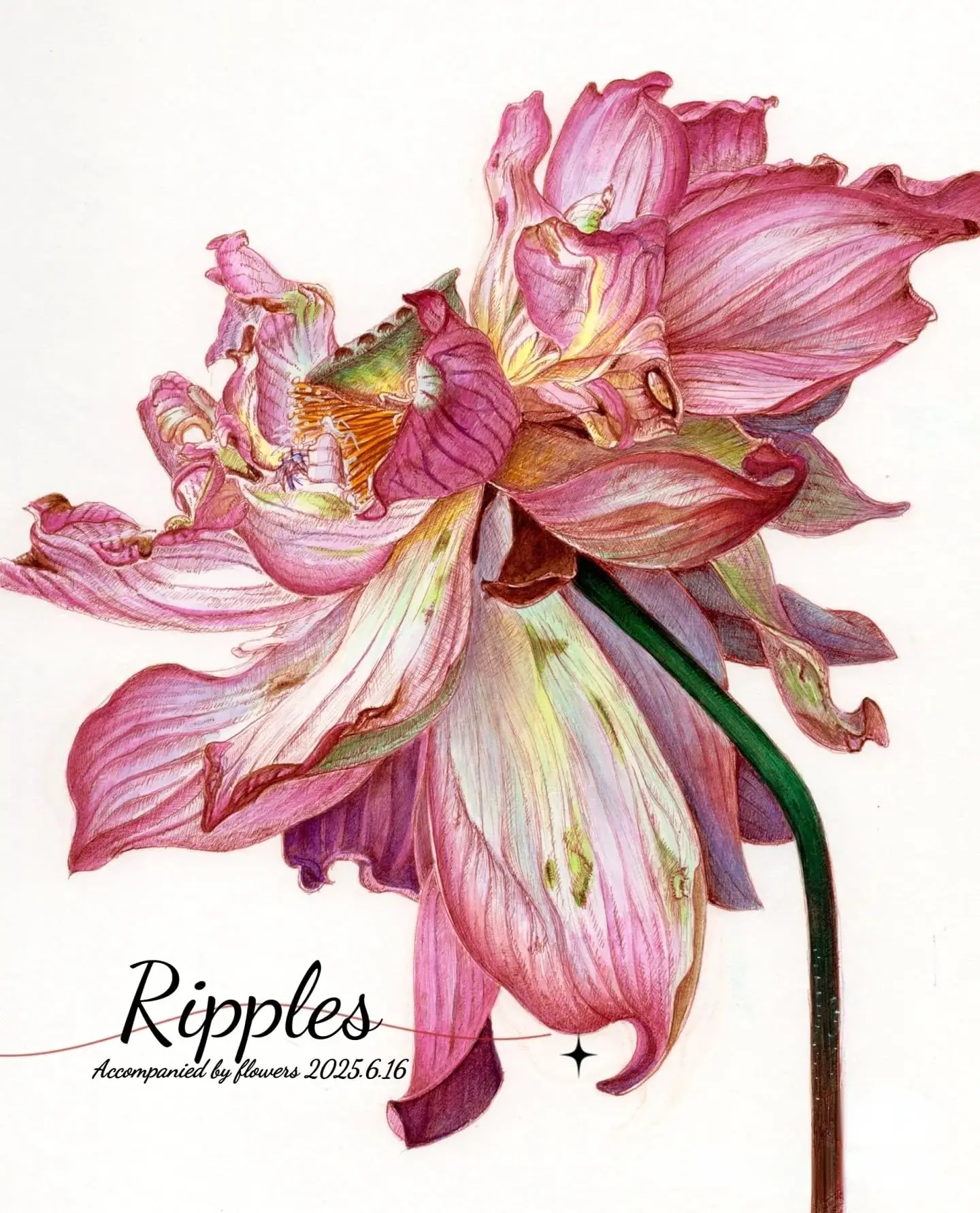 مجموعة ألوان مائية 98/60/48/36/24 لونًا، مستلزمات فنية عالية الجودة للفنانين والكبار، غير سامة