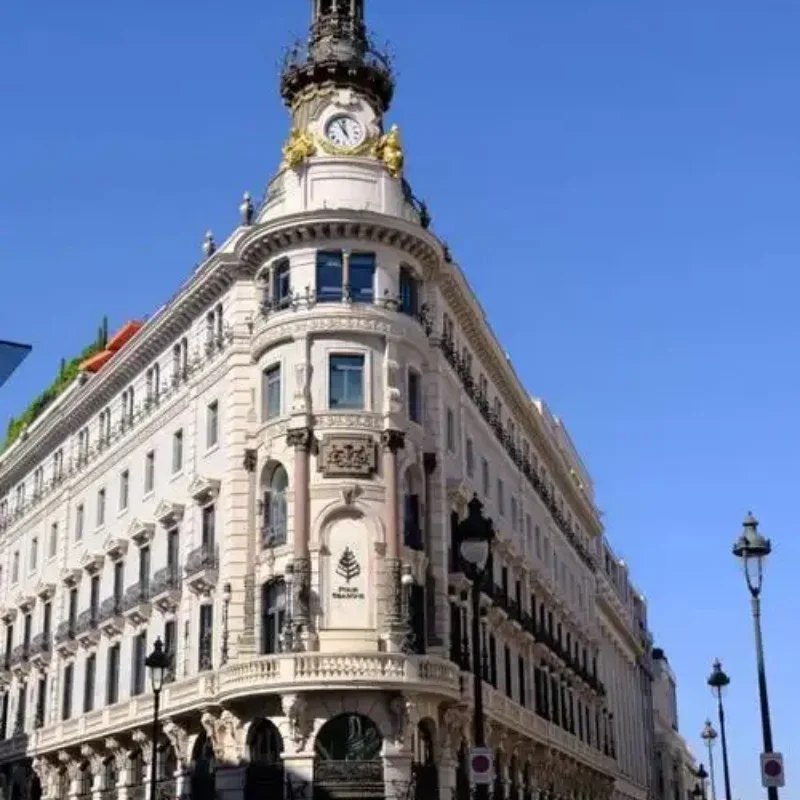 

4PCS Tires Wheels for SCY 16101 16102 16103 Pro MJX Hyper Go 14210 16210 1/12 1/14 1/16 1/18 RC Monster Truck Upgrade