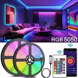 Led Strip Light Bluetooth APP 5050 USB RGB 24key controllo dell'intelligenza a infrarossi nastro LED nastro flessibile 5V diodo retroilluminazione TV