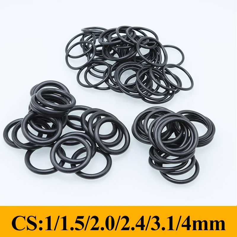 100/20Pcs O Ring 1 …