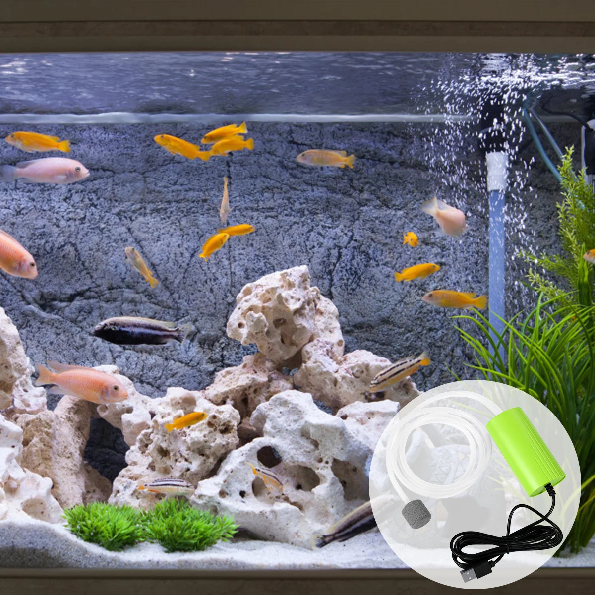 

Mini USB Charging Air Pump Ultra Quiet Fish Tank Oxygen Pump Durable Large Gas Displacement Aquarium Accessory