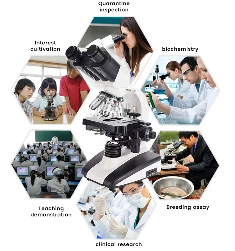 Digital Biological Binocular Microscopes  Binocular Microscope with Binocular Microscope With Led Light For Lab And School