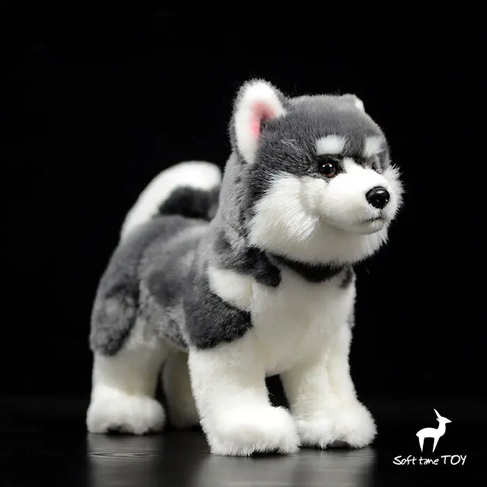 Realistic Dog Gray Alaskan Malamute Sled Dog Stuffed Animal Knickknack,nicknack,Small ornaments and miniature models