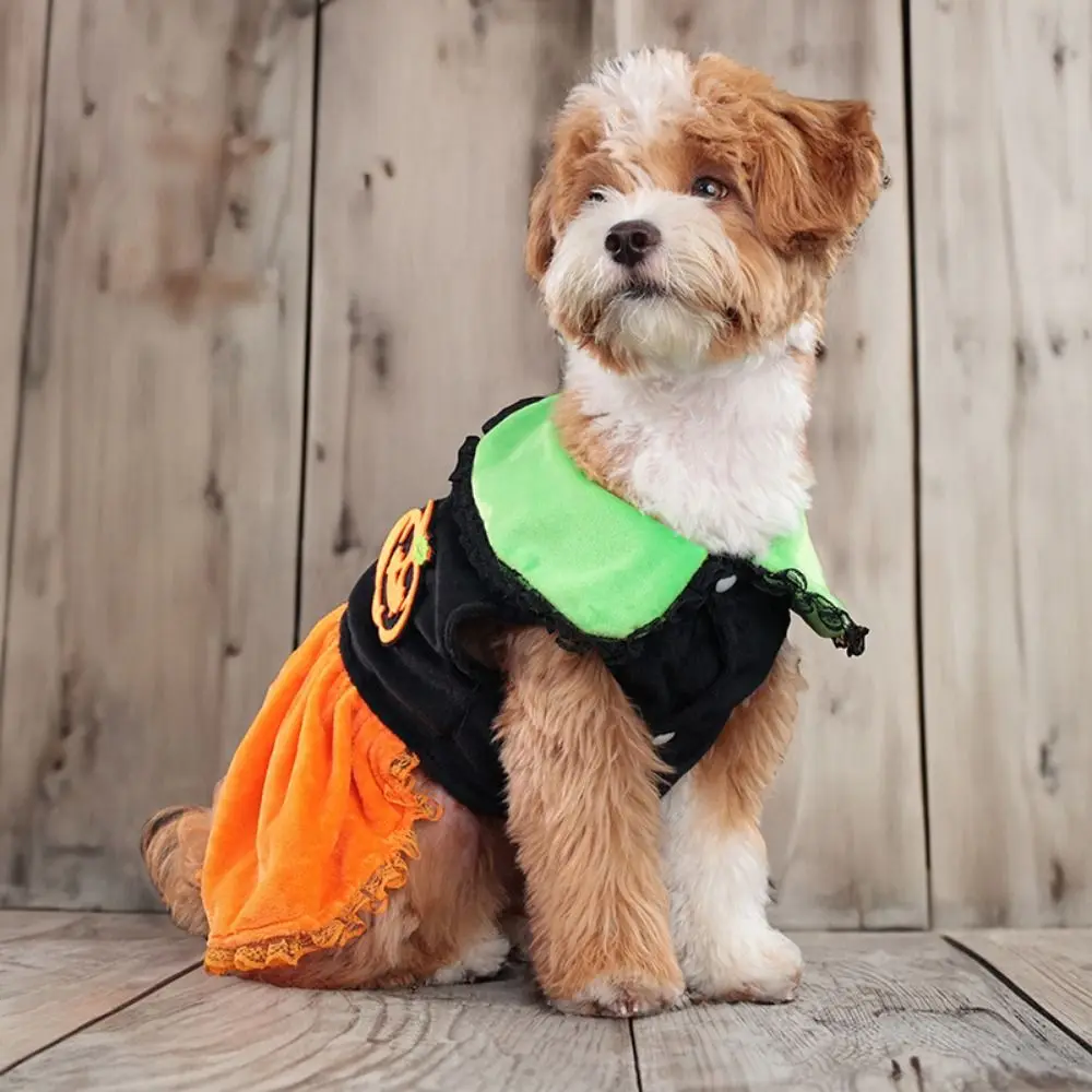 Ghost Creative Halloween Dog Costume Cute Pumpkin Pattern Dog Pumpkin Dress Soft Adjustable Pet Cosplay Costume Pet Supplies