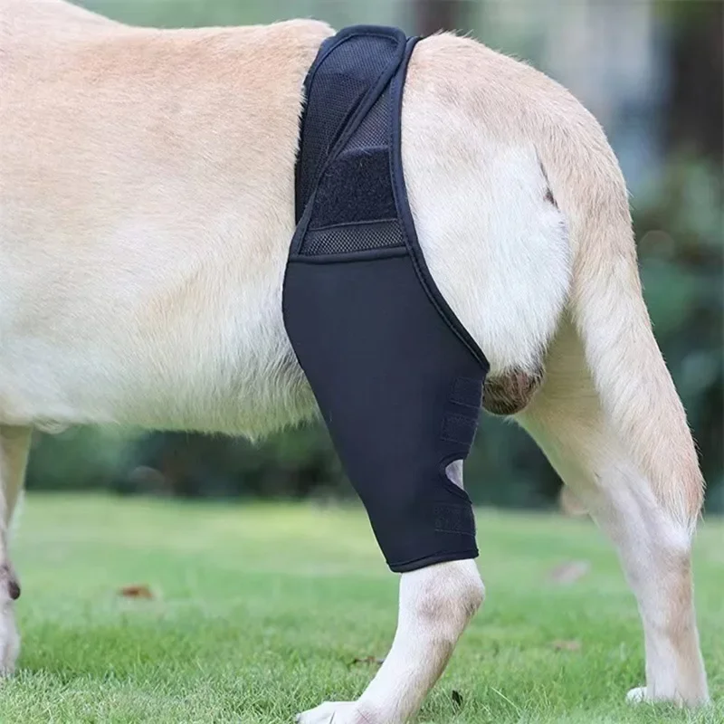 2024 Pet Knee Pads for Joint Injury Recovery Legs Protector Dog Thigh Brace Wrap Adjustable Support Belt Post-operative Fixation