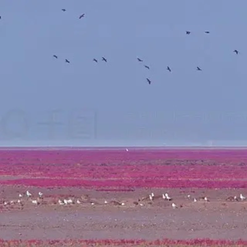 

JX PDI-HV5915MG 15kg Servo Metal Gear Steering Digital Coreless HV Motor for 1/8 1/10 Model Car RC 600-700 Helicopter DIY Parts