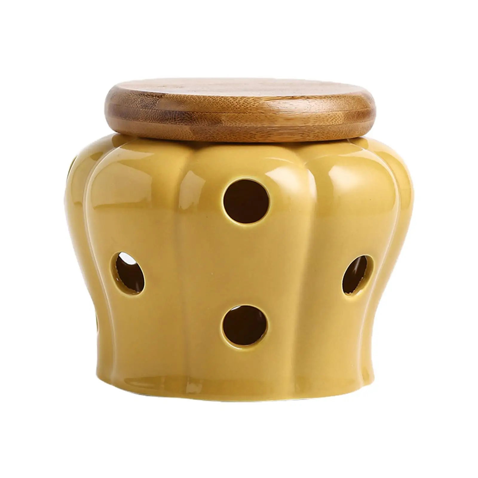 Ceramic Garlic Keeper Garlic Cellar Pot Garlic Jars Round Canister Holder for