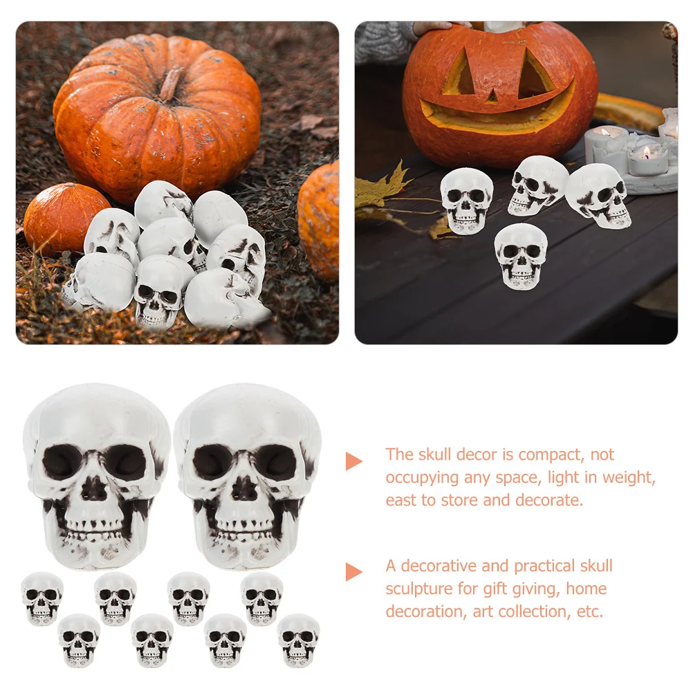 

10Pcs Mini Skull Models Break Resistant Simulation Halloween Party Photo Prop Creepy Decoration Mini Skulls for Halloween