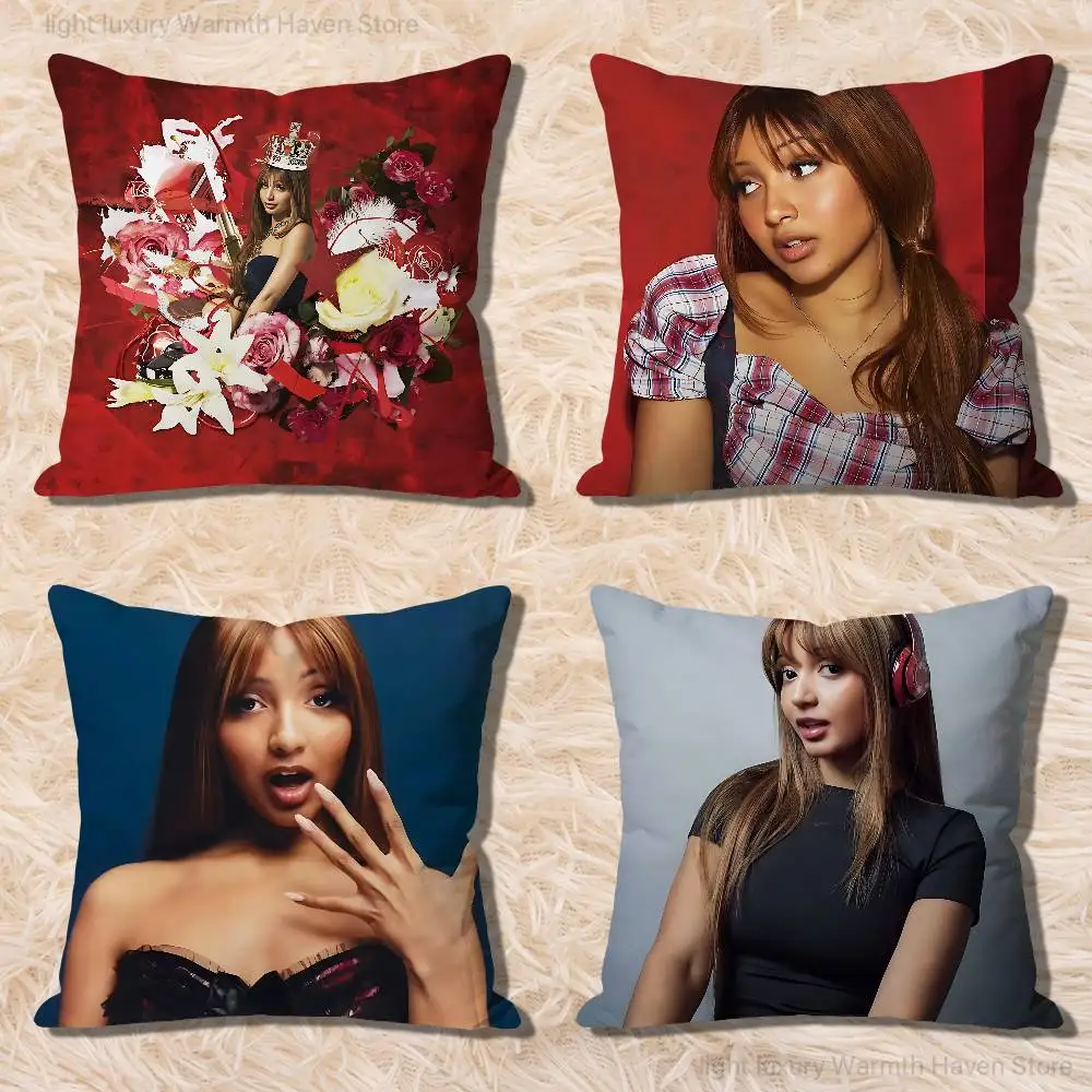 

P-PinkPantheress-S Fancy That Celebrity Merchandise All-Match Printed Pillow Case Sofa Car Office Room Decoration Protector