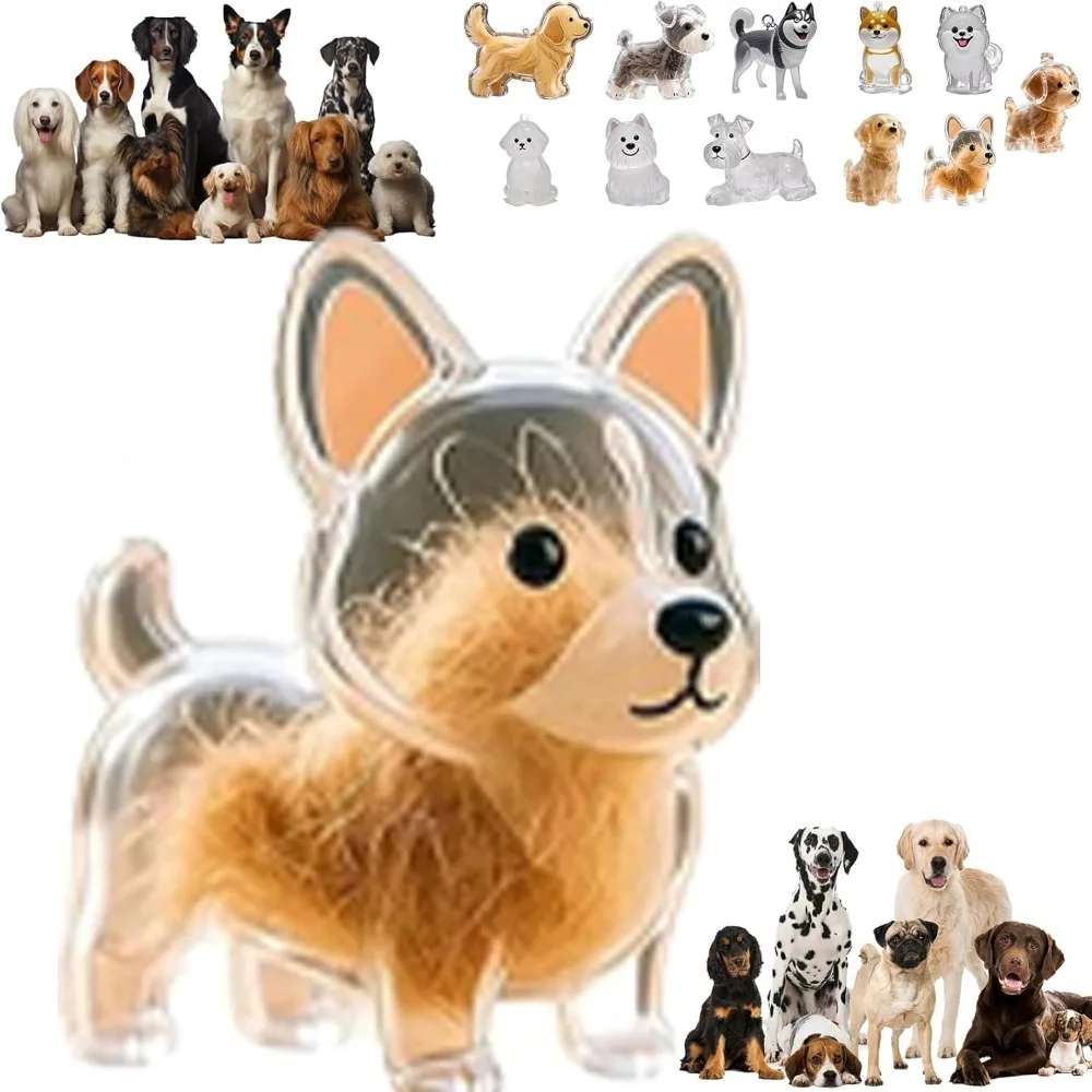 Transparent Dog Hair Collection Pendant Bichon Husky Corgi Gifts Dog Hair Storage Capsule Portable Pet Fun Keychain Pet Memorial